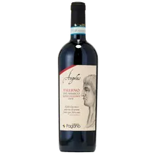 FATTORIA PAGANO Angelus Falerno del Massico Rosso Reserve DOP