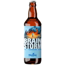 Brainstorm